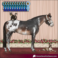 Horse Color:Brown Sabino Blanket