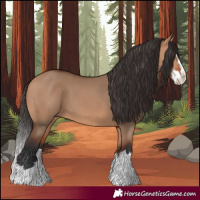 Horse Color:Bay Dun Splash 