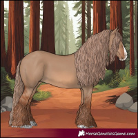 Horse Color:Red Dun Splash 