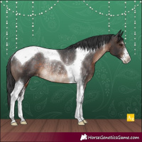 Horse Color:Brown Sabino Tobiano Varnish Rabicano 