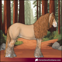 Horse Color:Red Dun Splash 