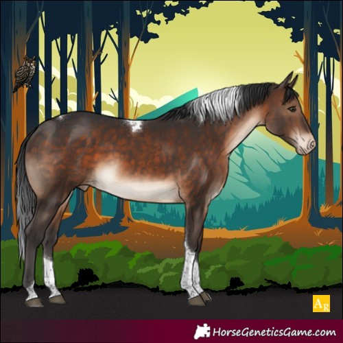Horse Color:Brown Tobiano Varnish 