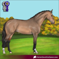 Horse Color:Brown Dun