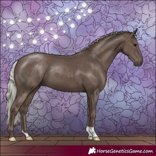 Horse Color:Silver Black 