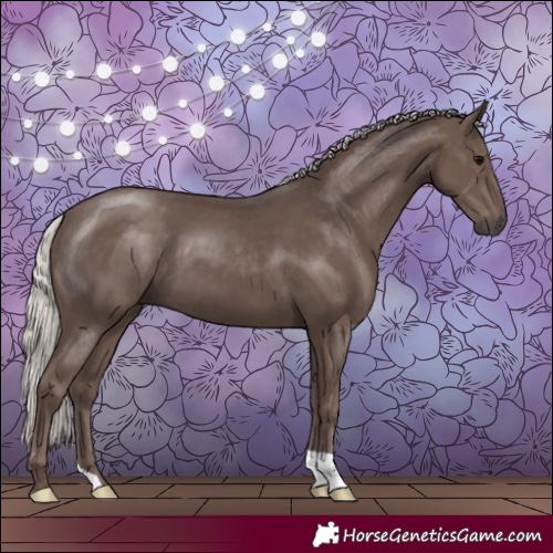 Horse Color:Silver Black 