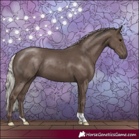 Horse Color:Silver Black