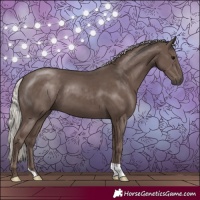 Horse Color:Silver Black 