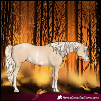Horse Color:Palomino Pearl Sabino 
