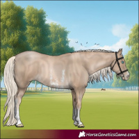 Horse Color:Chocolate Palomino Pearl Sabino 