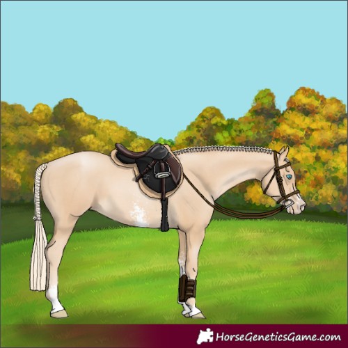 Horse Color:Palomino Pearl Sabino