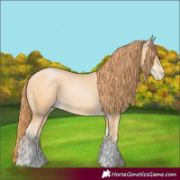 Horse Color:Buckskin Pearl Sabino