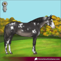 Horse Color:White Spotted Smoky Black Sabino 