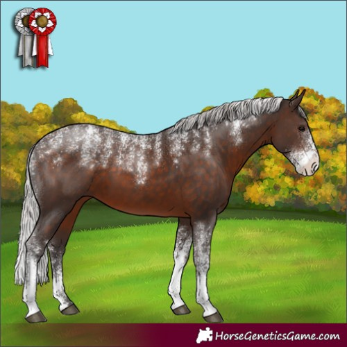 Horse Color:Powder White Silver Brown 