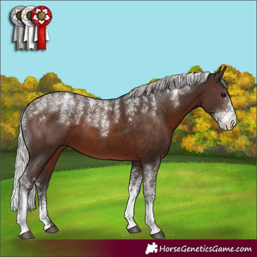 Horse Color:Powder White Silver Brown 