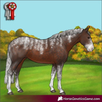 Horse Color:Powder White Silver Brown