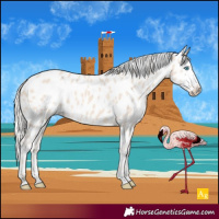 Horse Color:Cremello Leopard 