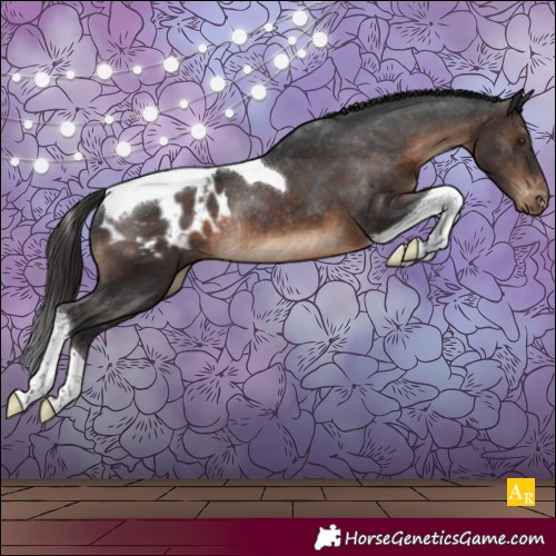 Horse Color:Brown Tobiano Blanket Rabicano 