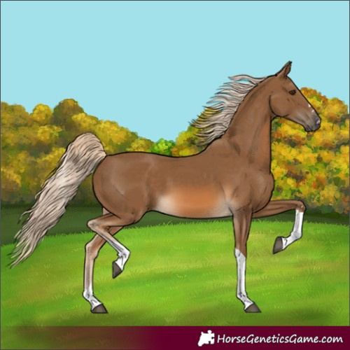 Horse Color:Chocolate Palomino Tobiano 