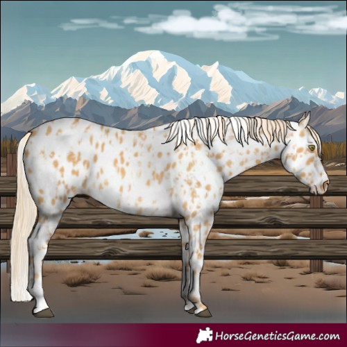 Horse Color:Palomino Dun Appaloosa  and Palomino Dun Appaloosa 