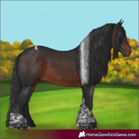 Horse Color:Brown Tobiano 