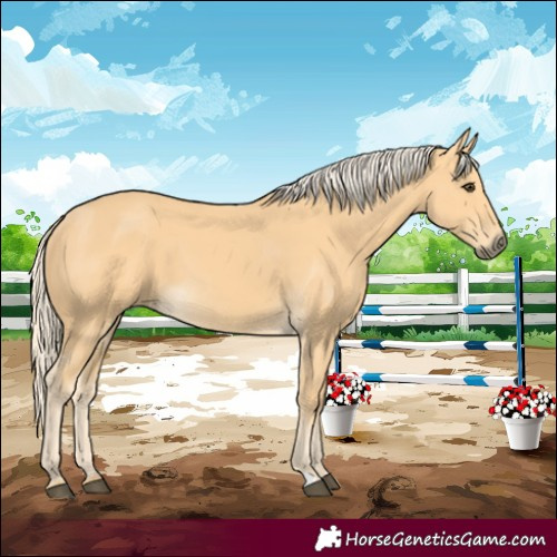 Horse Color:Palomino 