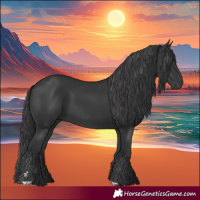 Horse Color:Black 