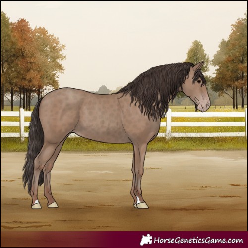 Horse Color:Classic Champagne