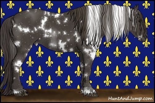 Horse Color:White Spotted Smoky Black