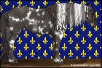 Horse Color:White Spotted Smoky Black