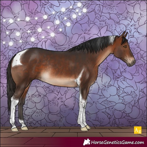 Horse Color:Brown Sabino Tobiano Rabicano