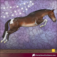 Horse Color:Brown Sabino Tobiano Rabicano 