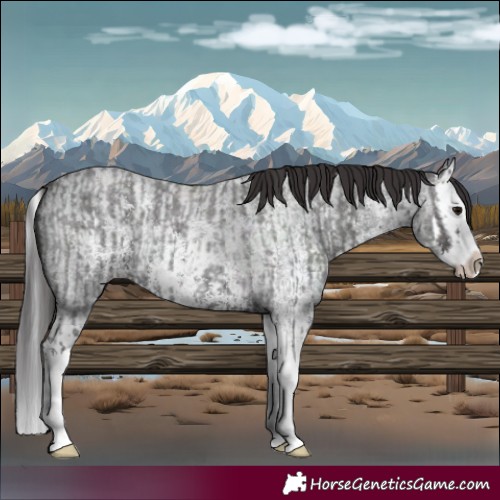 Horse Color:Smoky Blue Roan Sabino Splash  and Smoky Blue Roan Sabino Splash 