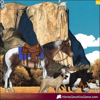 Horse Color:Brown Tobiano Varnish 
