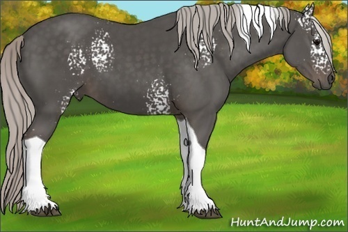 Horse Color:White Spotted Silver Black Tobiano 