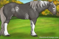 Horse Color:White Spotted Silver Black Tobiano 
