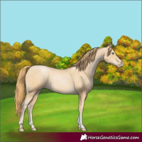 Horse Color:Smoky Black Pearl Sabino