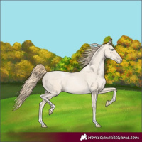 Horse Color:Smoky Black Pearl Sabino