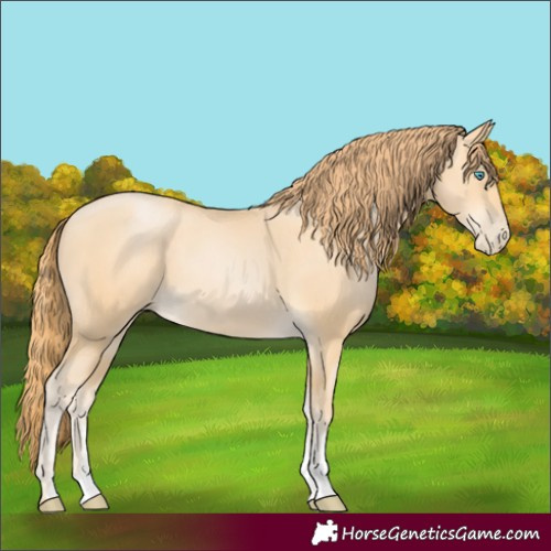 Horse Color:Buckskin Pearl Sabino 