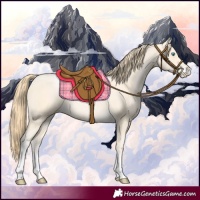 Horse Color:Buckskin Pearl Sabino