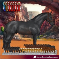 Horse Color:Brown 