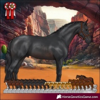 Horse Color:Brown 