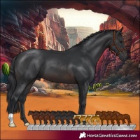 Horse Color:Brown 