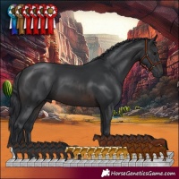 Horse Color:Brown 