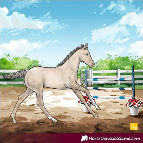 Horse Color:Chocolate Palomino Pearl Dun 