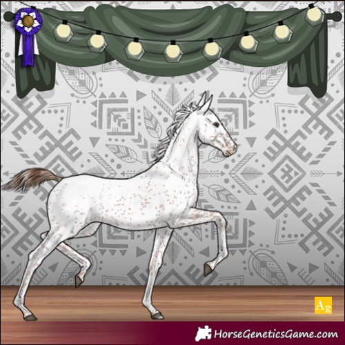 Horse Color:Chestnut Sabino Varnish 