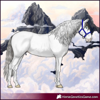Horse Color:Amber Cream Champagne Dun Splash Tobiano 