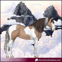 Horse Color:Amber Champagne Splash Tobiano