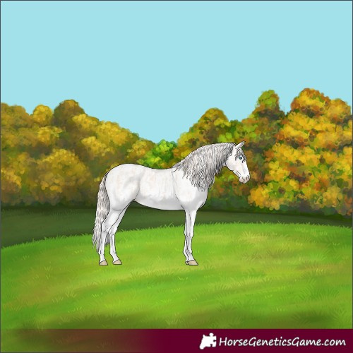 Horse Color:Perlino Sabino  and Perlino Sabino 