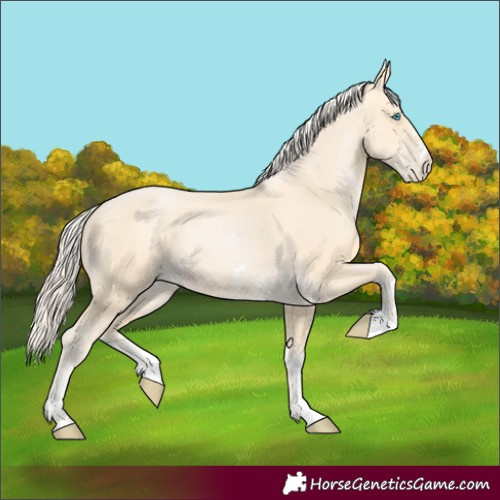 Horse Color:Palomino Pearl Sabino 