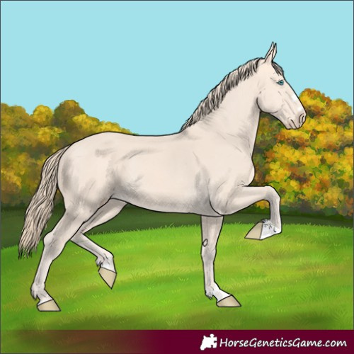 Horse Color:Perlino 
